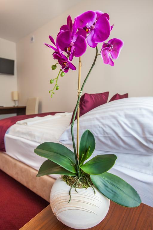 Hostel Замбрув Номер фото